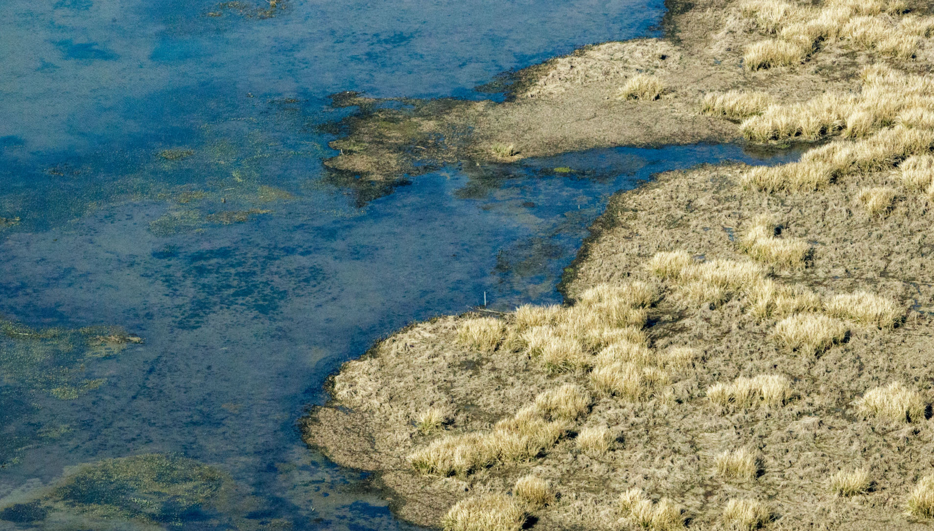 BR.spillway.031018.001.JPG